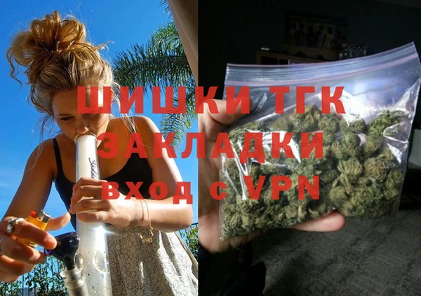 2c-b Пестово