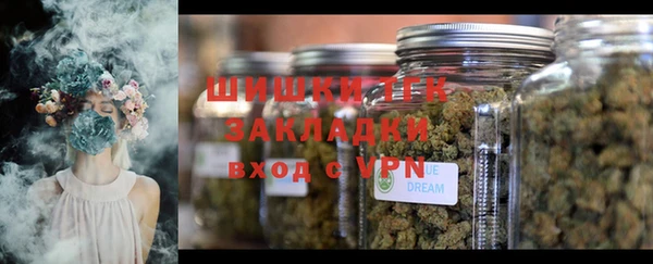дмт Армянск